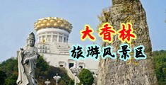 母狗黄色网站中国浙江-绍兴大香林旅游风景区